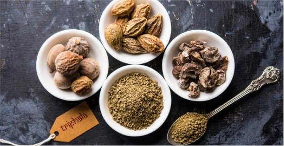 About Us Our Company 02 About Us Our Company 02